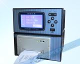ZYW203RP帶打印無(wú)紙記錄儀