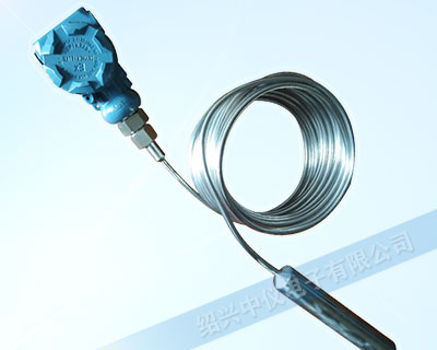 ZYK24K高溫液位變送器